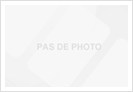 immobilier 